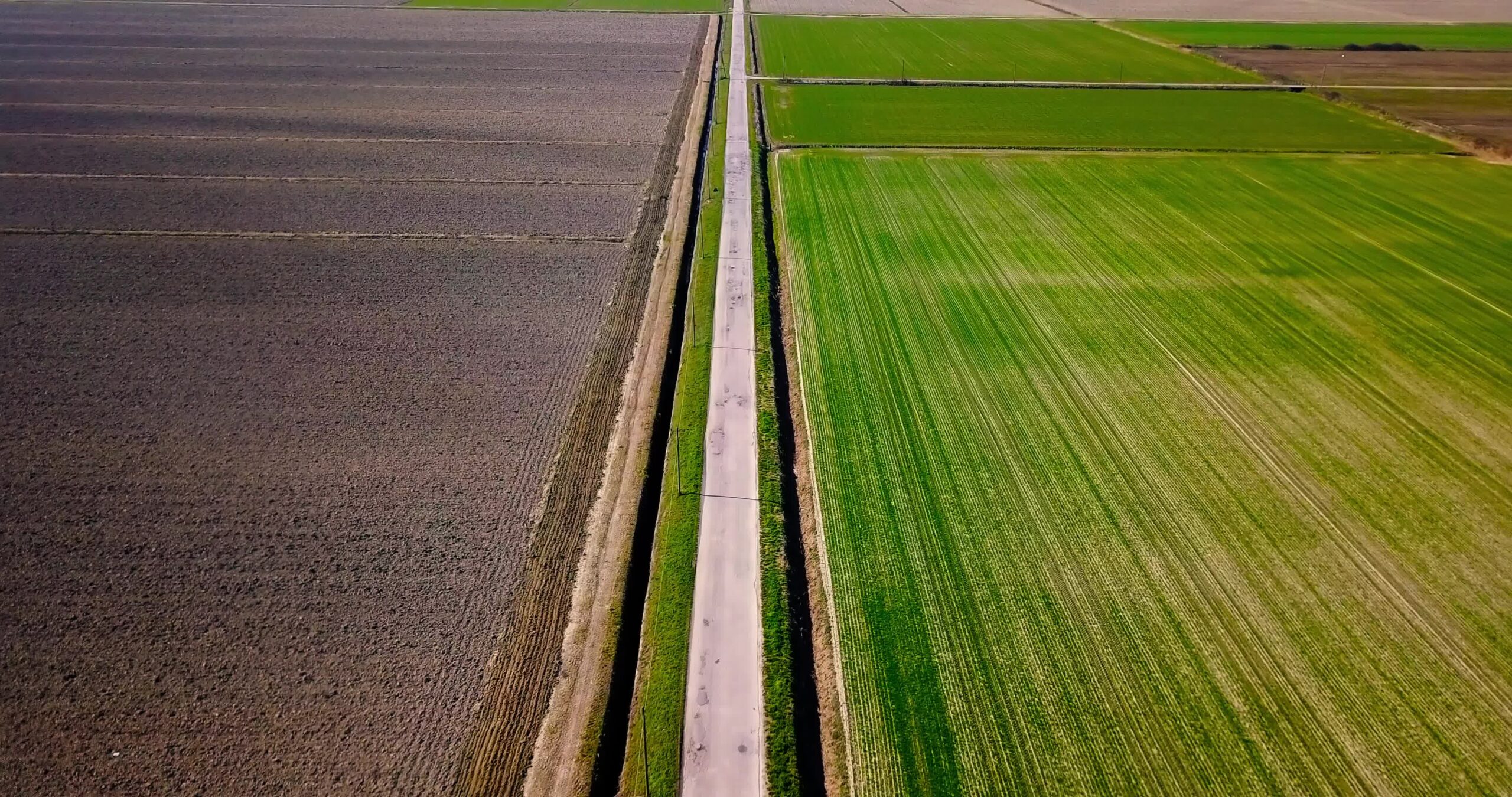 Una lunga strada si estende tra prati verdi oltre i canali in primavera