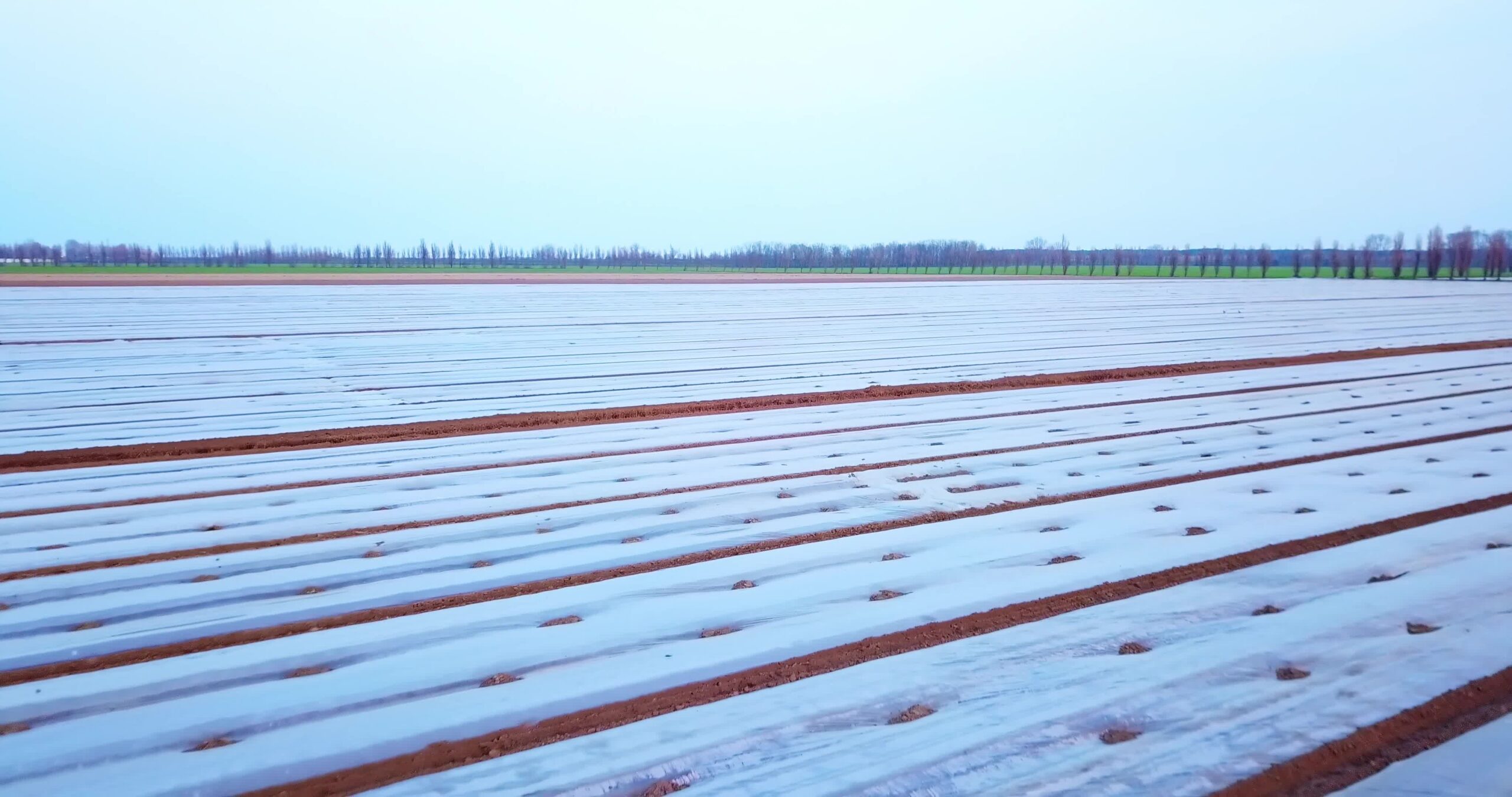 Vegetable hotbeds under plastic film in countryside area