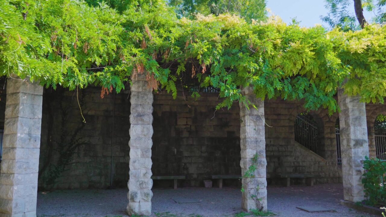 Lush green plants grow on top of ancient ruined building