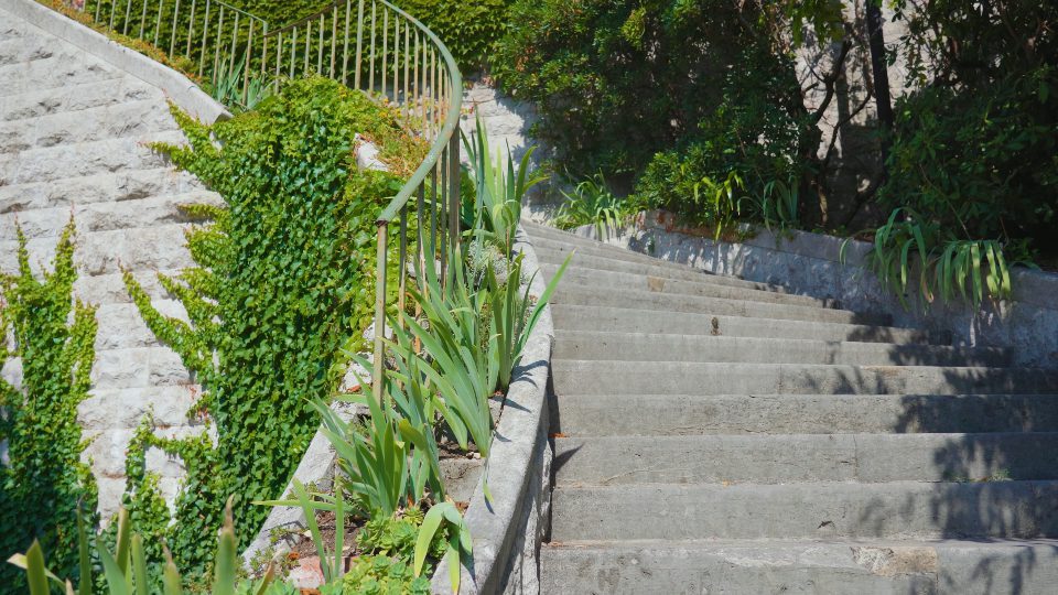 Lush green plants grow climbing on ancient stairway wall