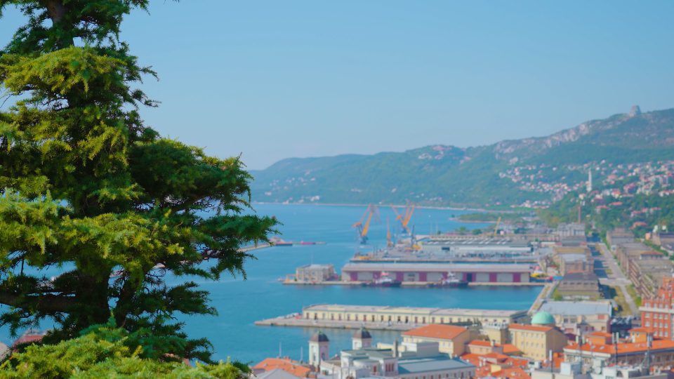 Impressive view of old town and sea behind green pine tree