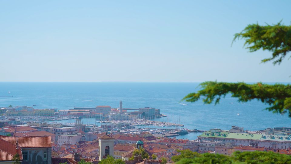 Panorama of old town opens behind lush green pine tree