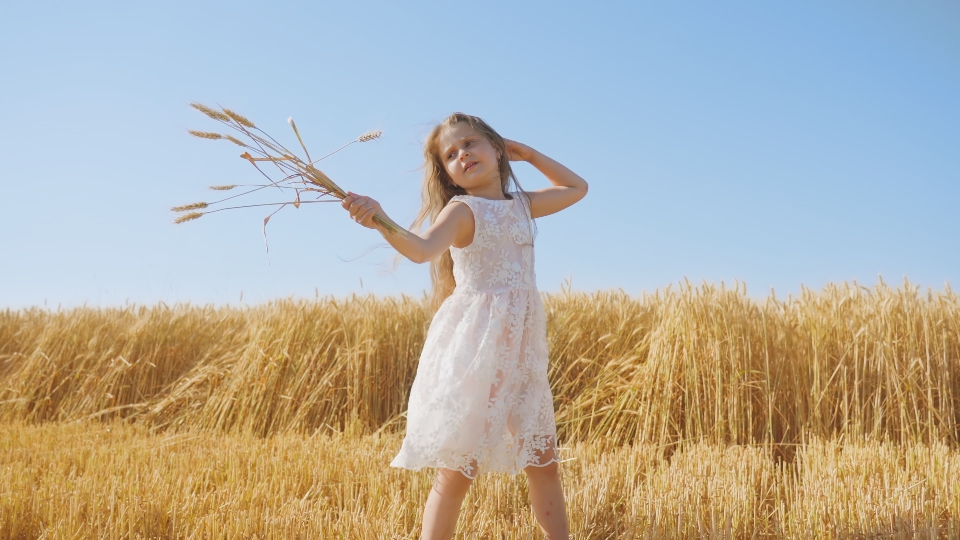 Little girl waves with bouquet of golden spikelets on field