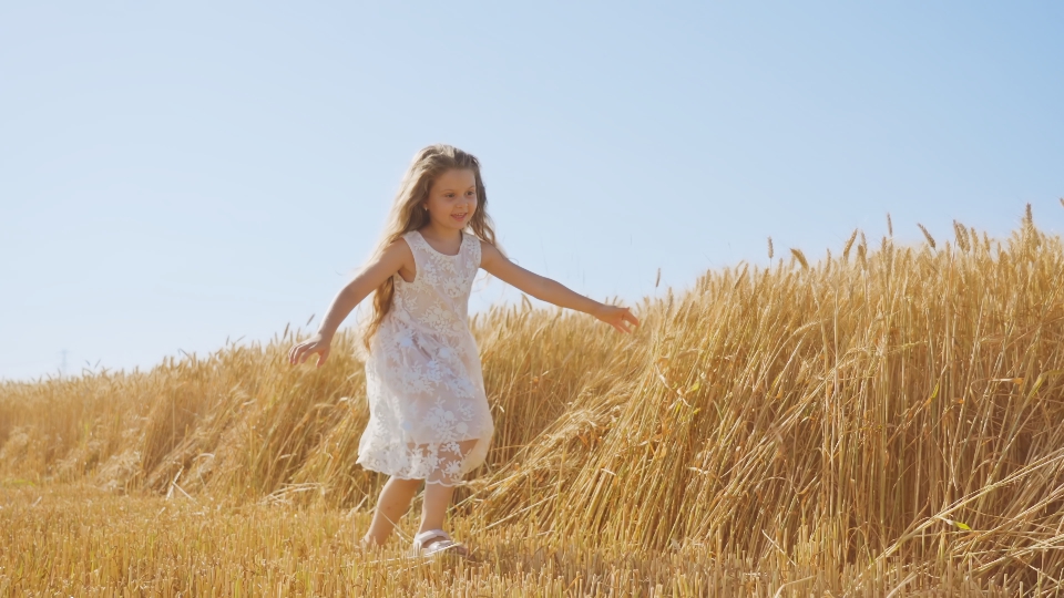 Little girl runs in wheat field touching spikelets with hand