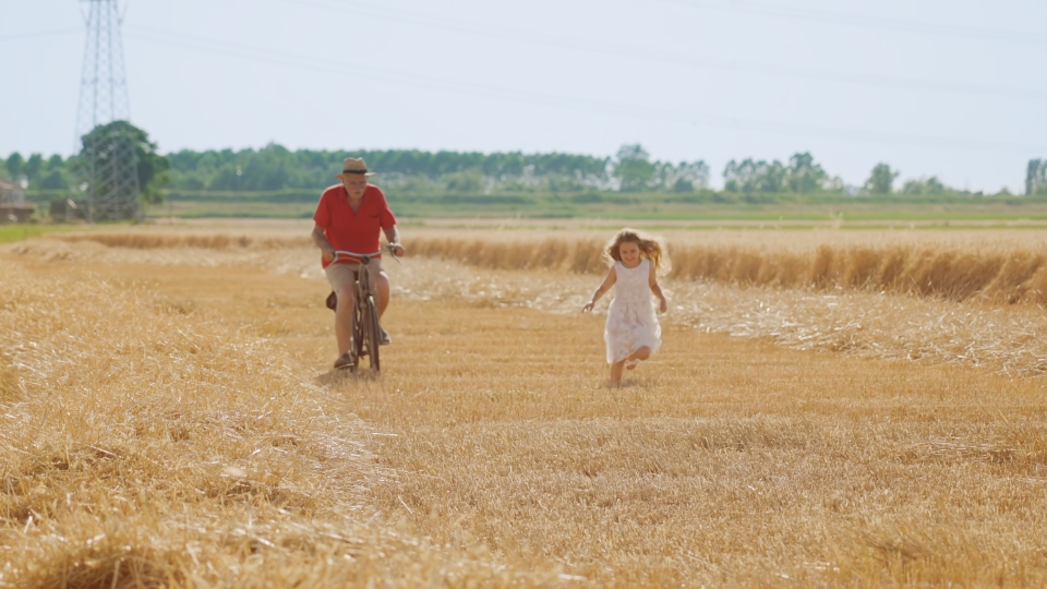 Little girl runs while grandpa rides bicycle on wheat field