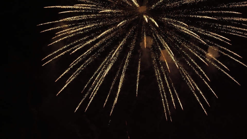 Fuochi d’artificio colorati luminosi esplodono in aria contro il cielo scuro