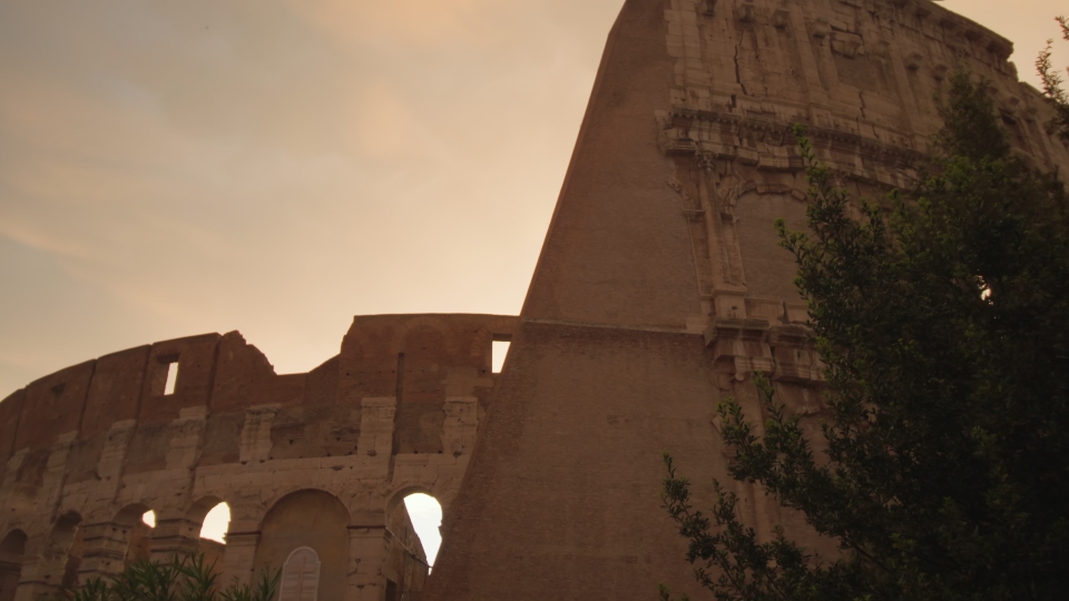 Large Colosseum seen behind trees silhouettes at sunset