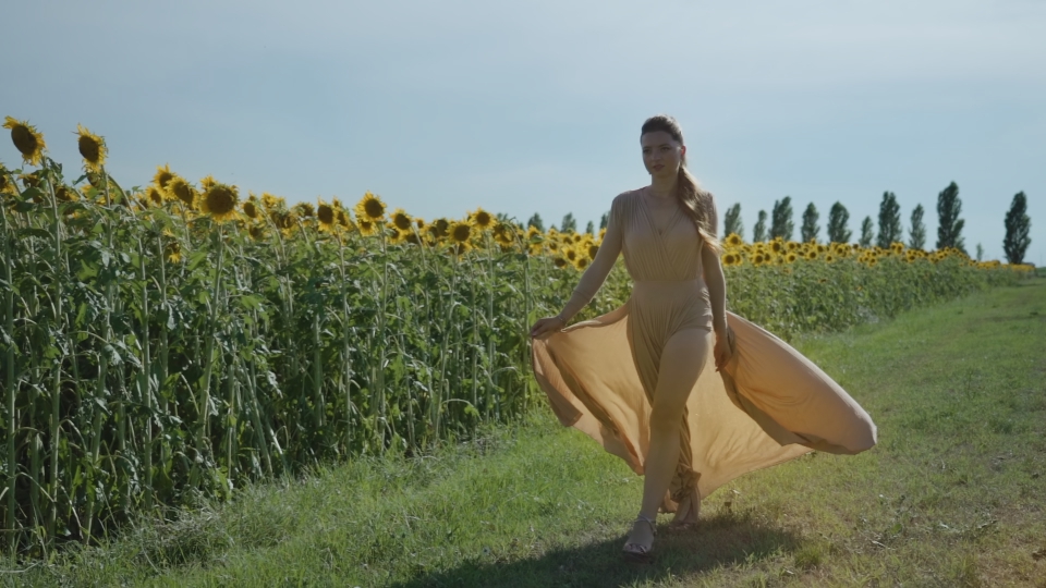 Fashion model walks near sunflower field