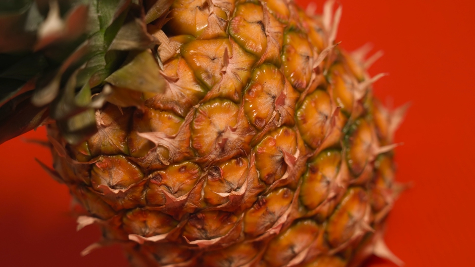 Pineapple resting on red surface