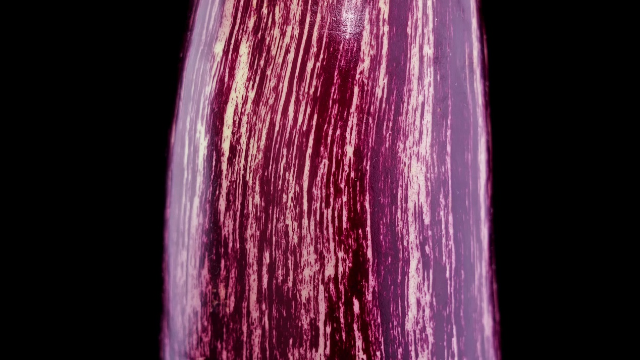 Rotating Striped Purple Eggplant