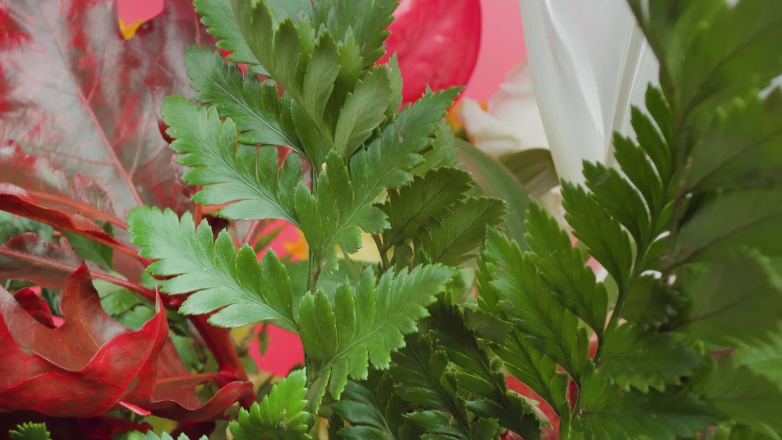 Red and Green Leaves Amidst Flowers