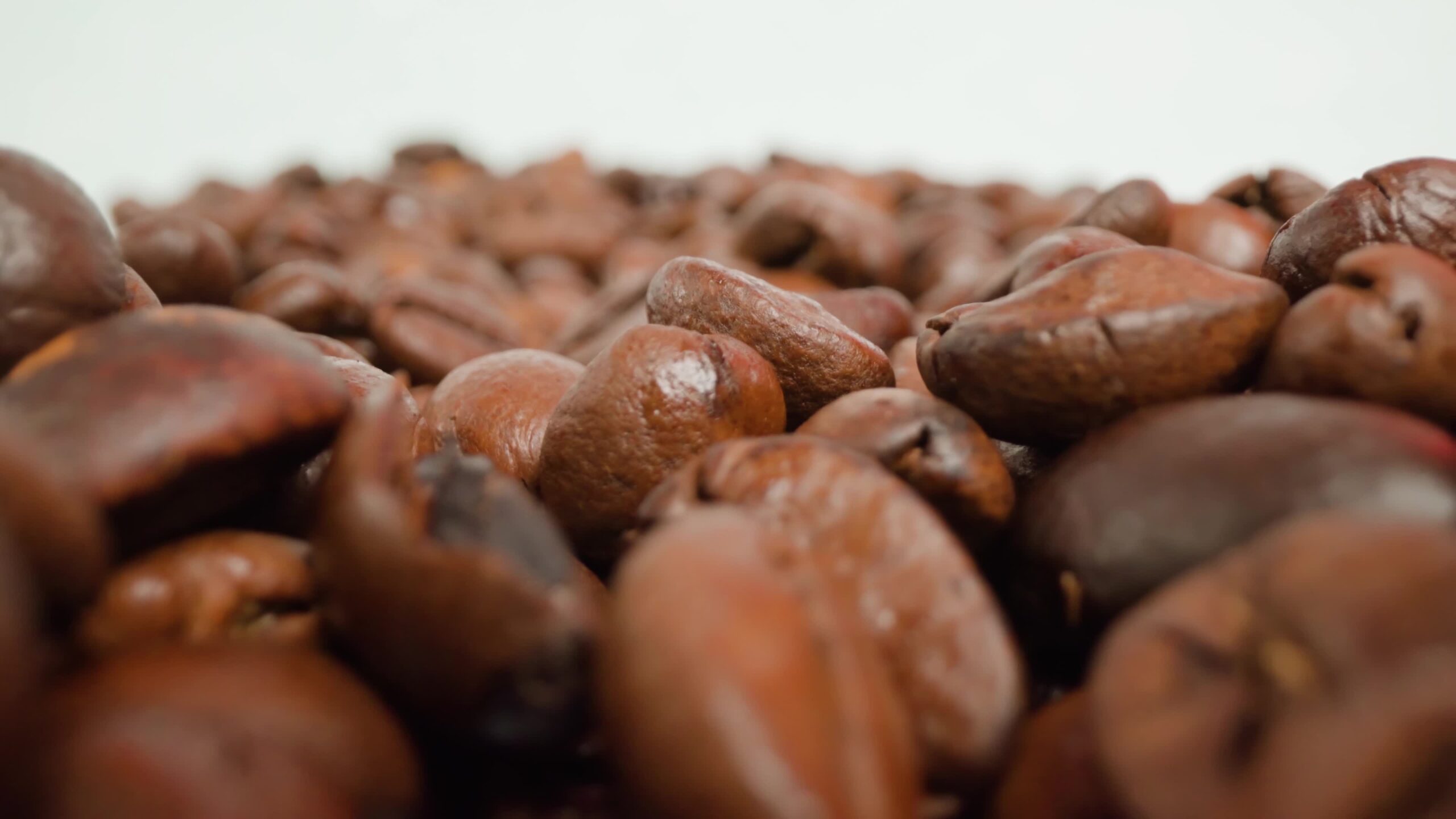 Roasted coffee grains shine on table in studio macro