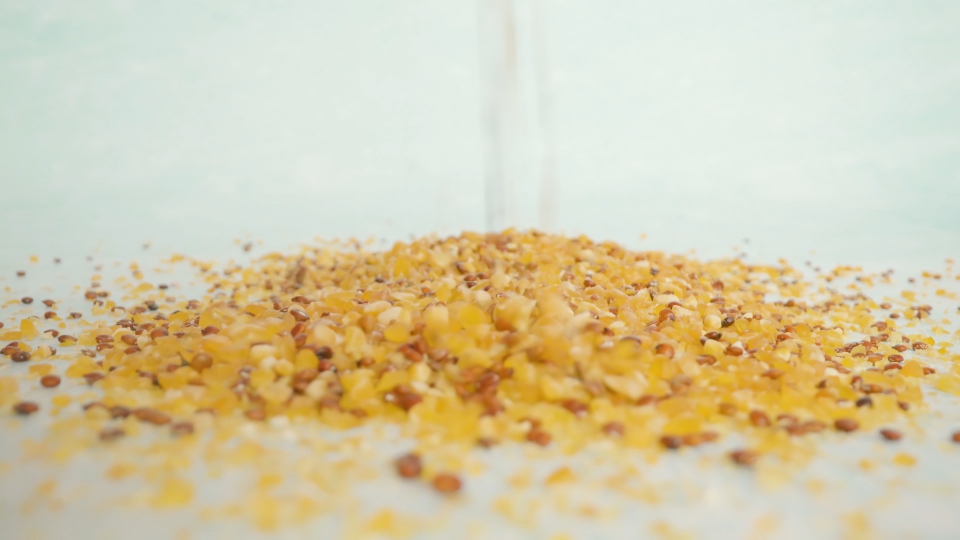 Mixture of corn and chia seeds pouring onto white surface