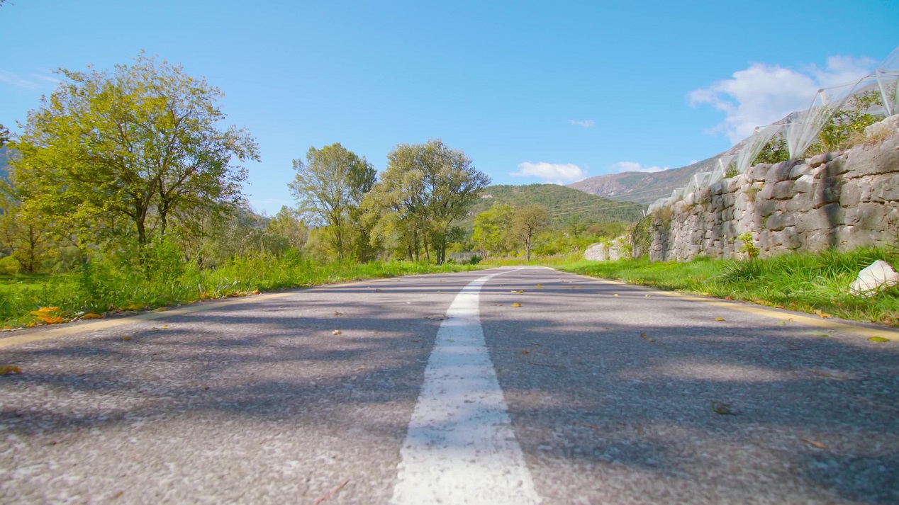 Strada tra la natura