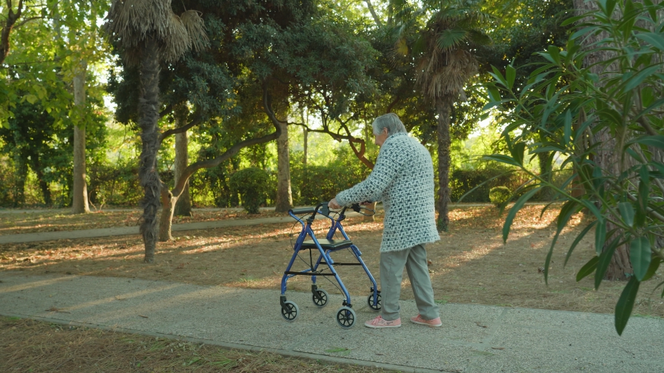 La donna dai capelli grigi cammina lungo la strada del parco con il deambulatore