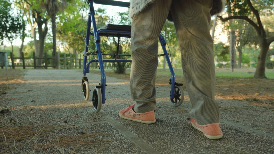 Grandma strolls around park using wheelchair-rollator