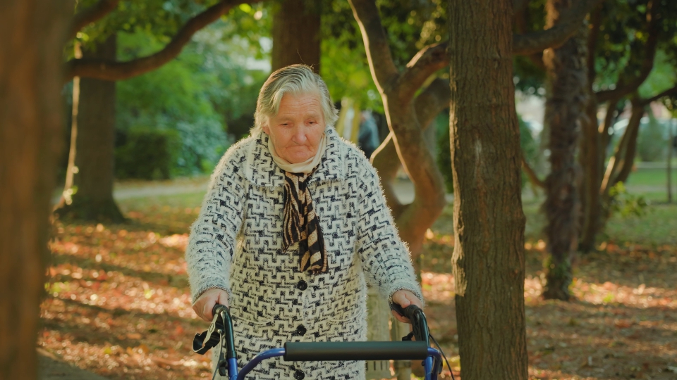 Grandmother’s Stroll in the Park