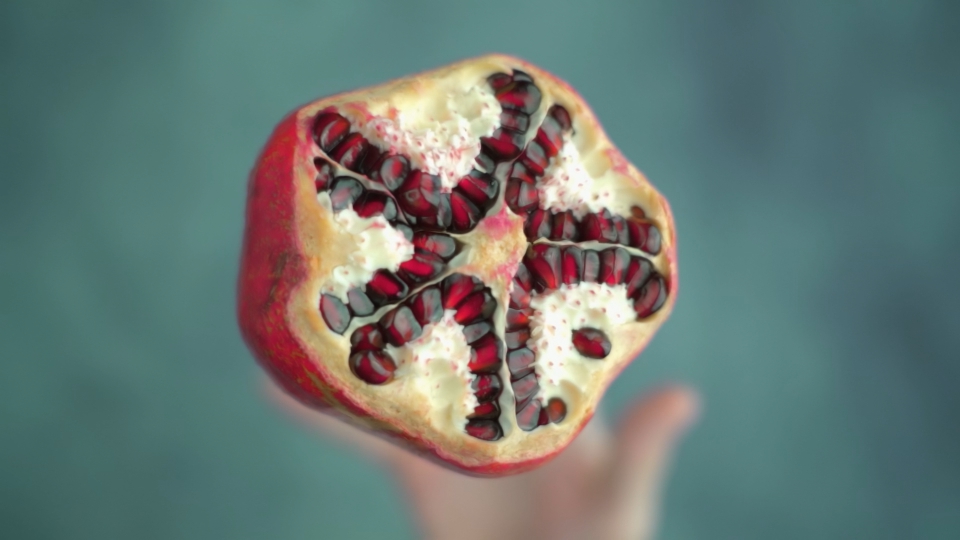 Pomegranate and Hand: Slow Motion Acrobatics