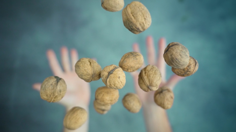 Throwing up and catching walnuts with both hands macro