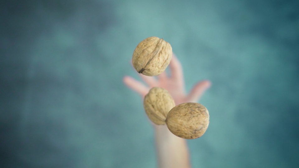 Hand throwing up and catching walnuts in thick shells