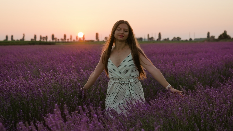 Donna tra lavanda al tramonto