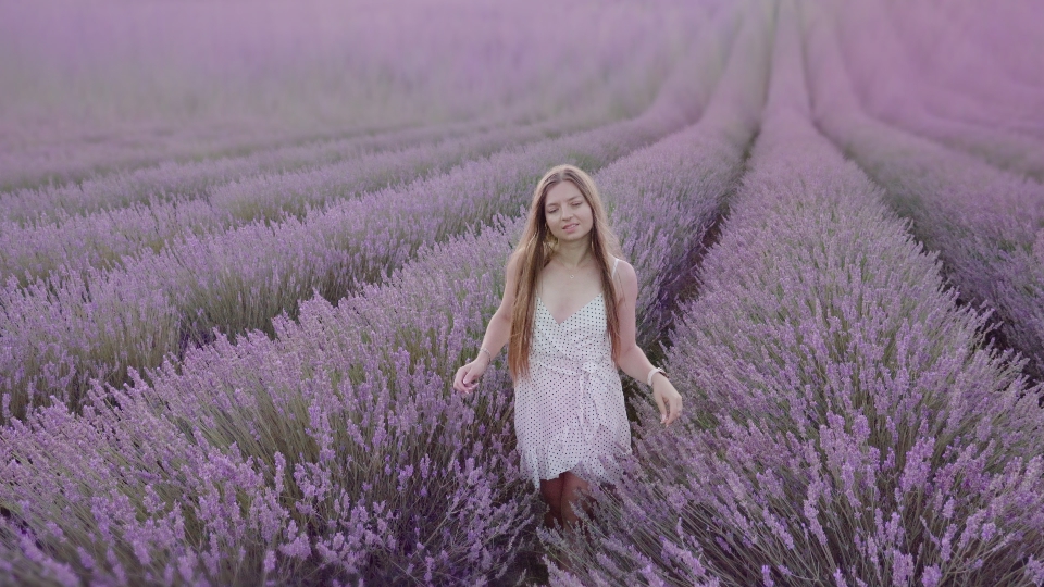 Donna tra lavanda al tramonto