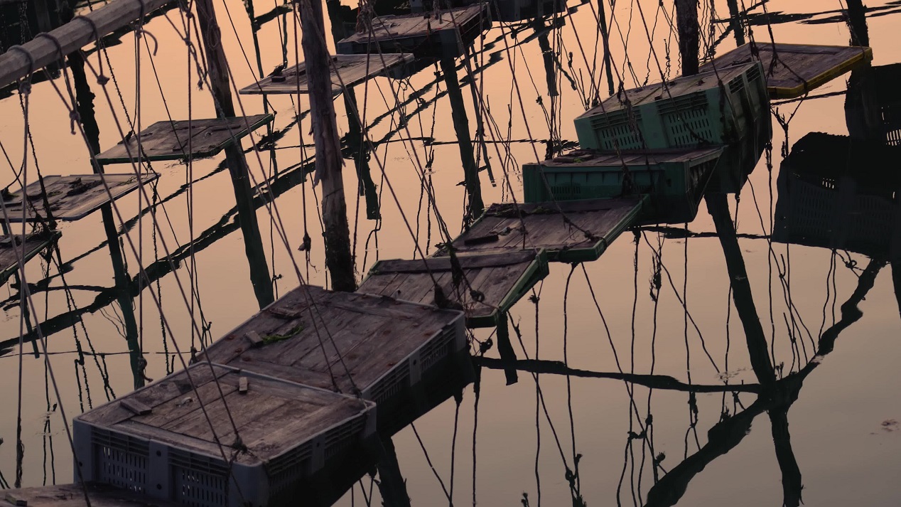 Containers with fish hanging on poles in the water