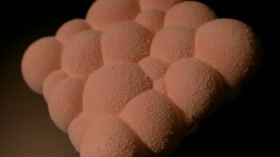 Mousse cake on a black background