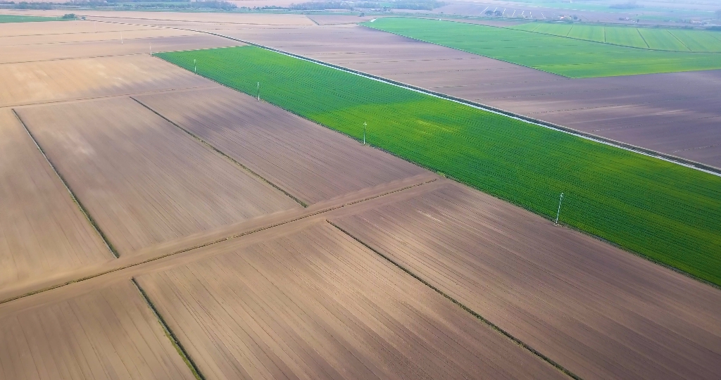 Green and gray fields seen from above