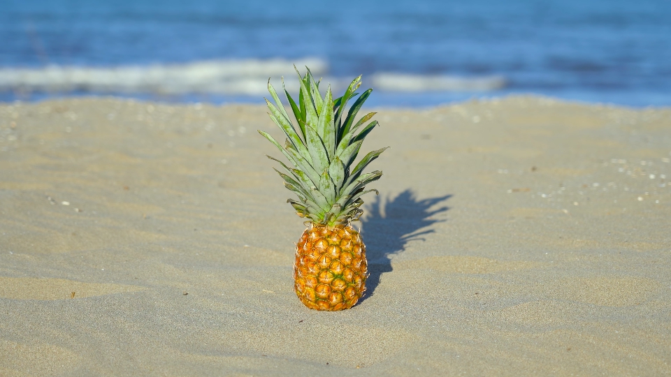Pineapple on the sand in the sunny day at the seaside