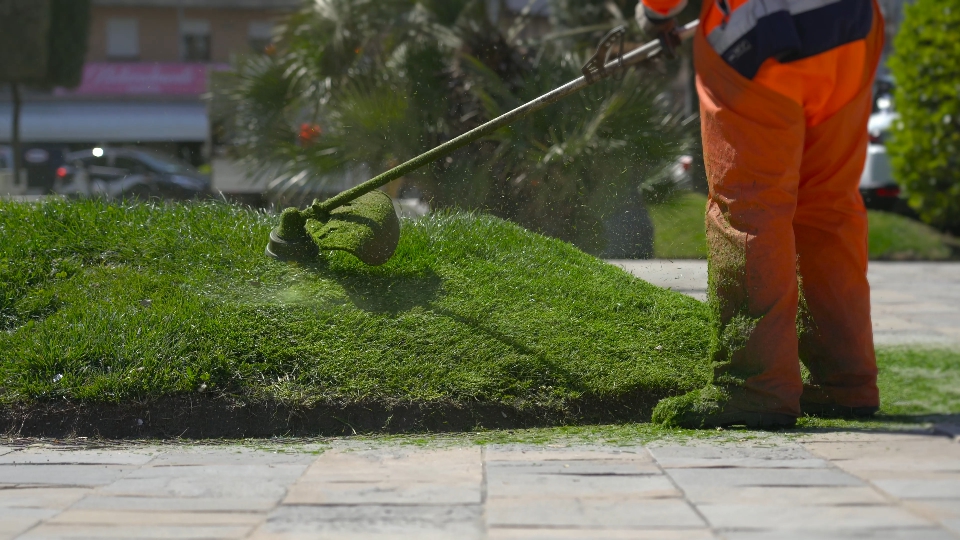 A worker cuts grass with lawn mower