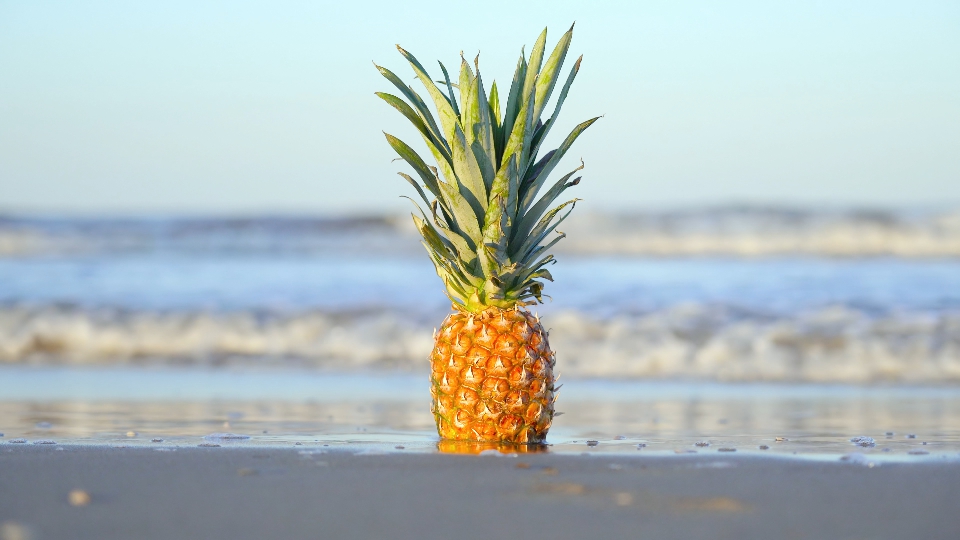 Pineapple on the wet sand at the sea
