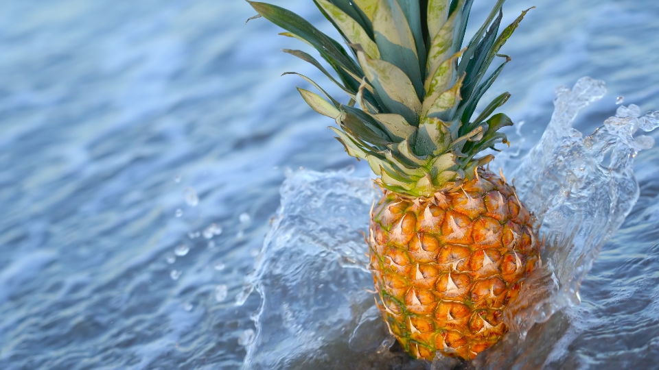 Pineapple is thrown off by a sea wave on the beach