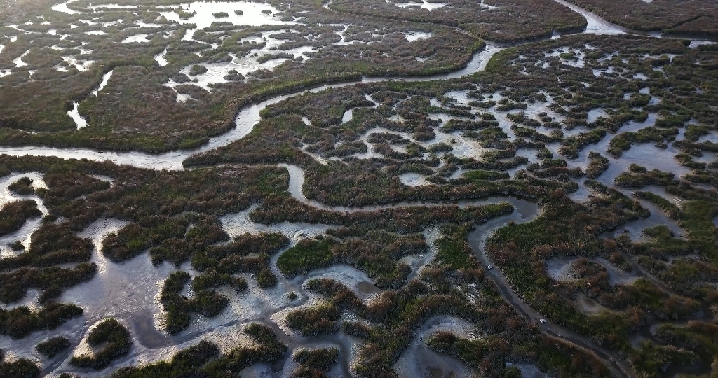 Beautiful shapes of the Venetian lagoon in Italy