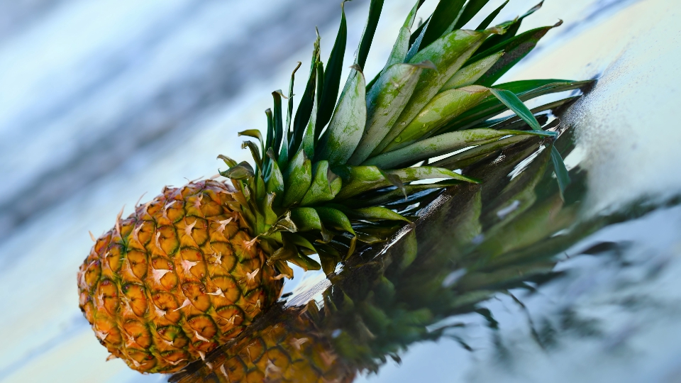 Tasty pineapple is bathed in sea water