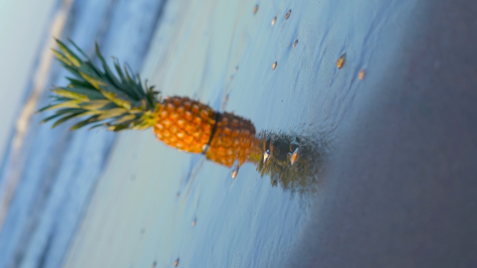 Pineapple placed on the wet beach with beautiful reflections