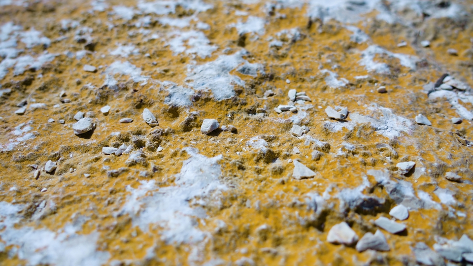 Surface of the stone covered with mold