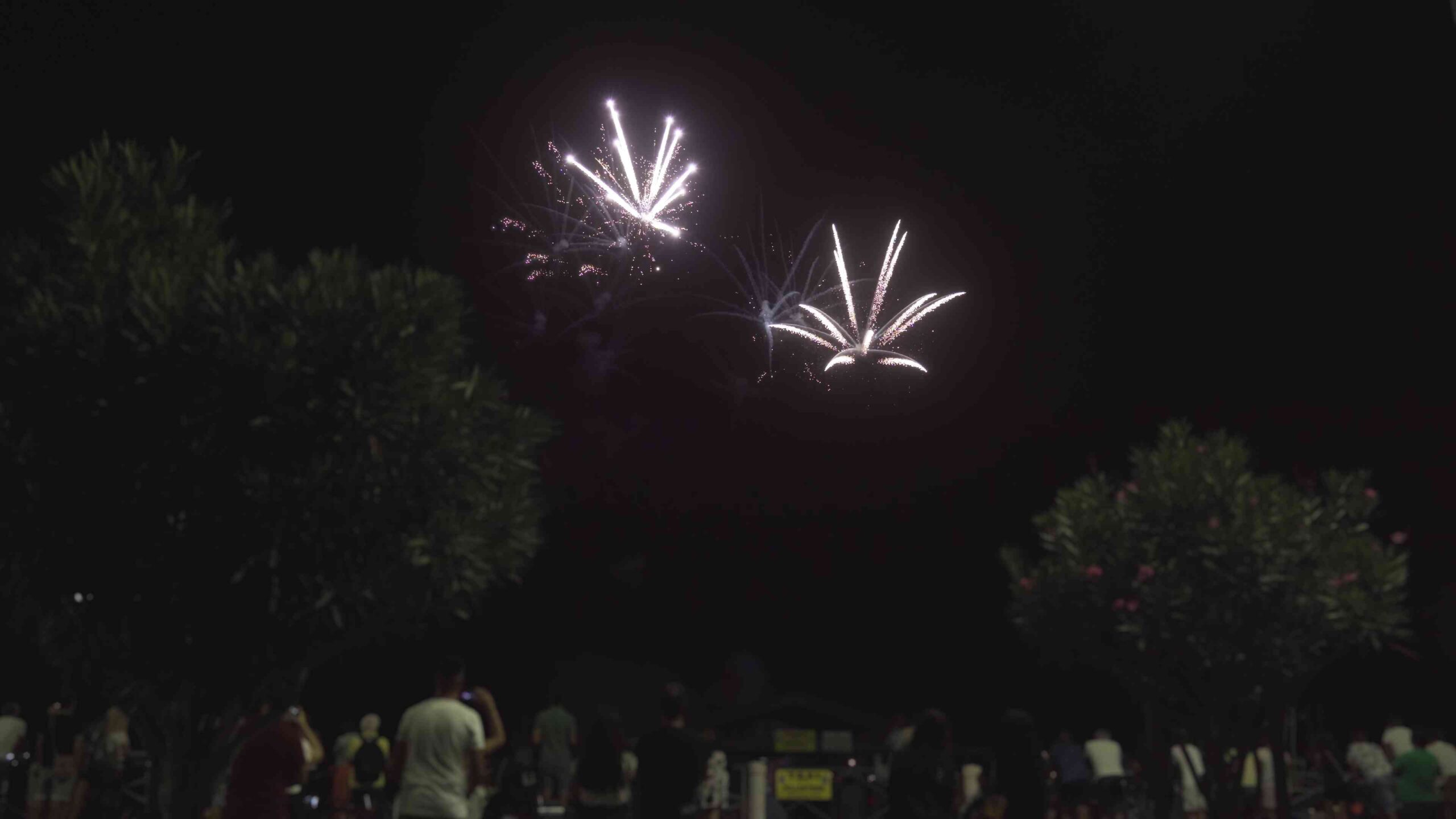 Fireworks in the summer sky