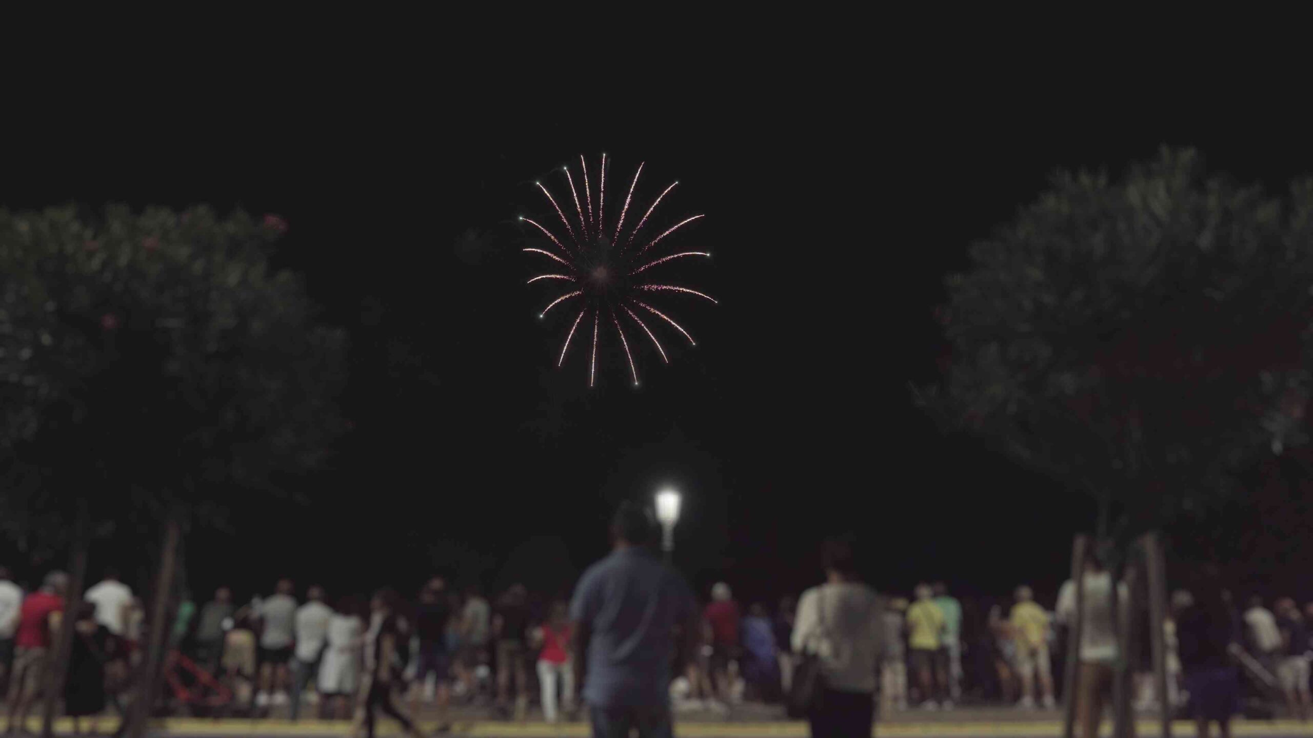 Fireworks in the sky of Sottomarina