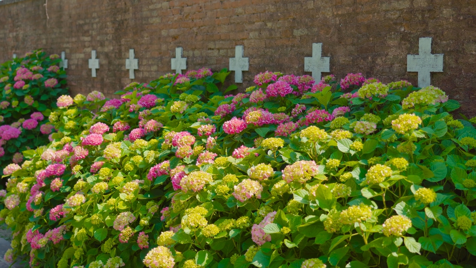 Muro del cimitero con fiori colorati davanti