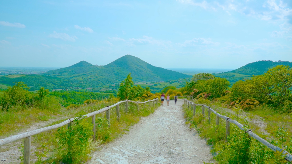 Sentiero panoramico per passeggiate nel verde delle colline