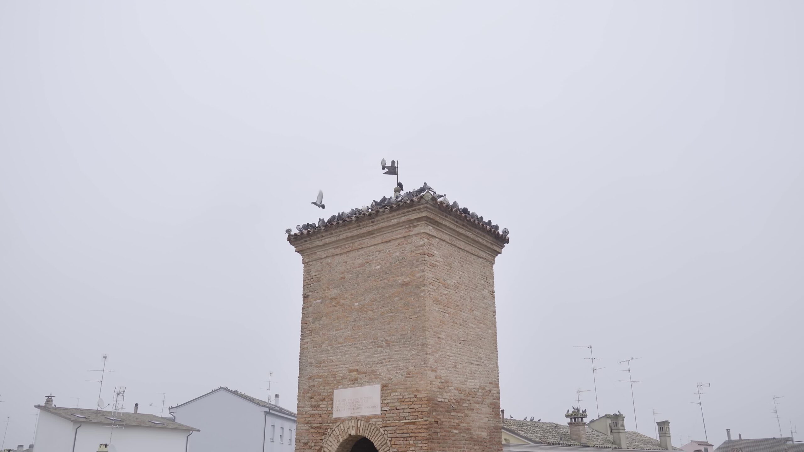 Doves above an ancient tower