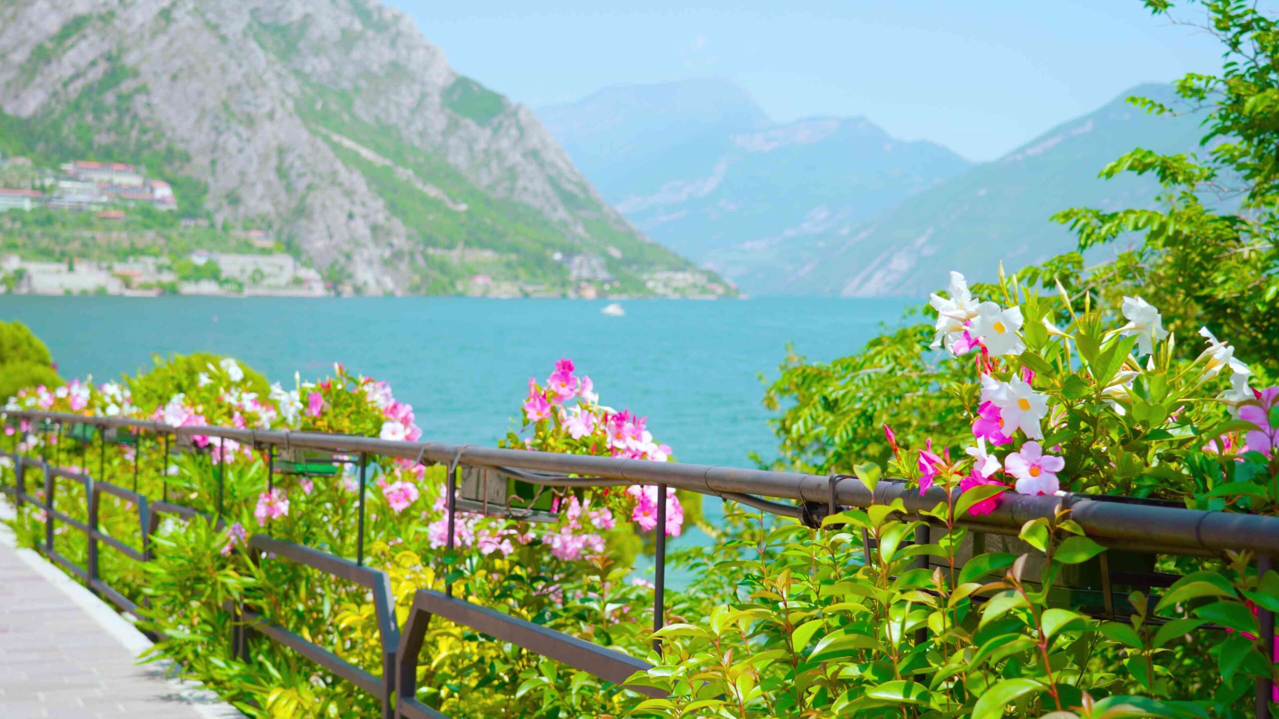 Fiori in Fiore a Riva del Lago di Garda