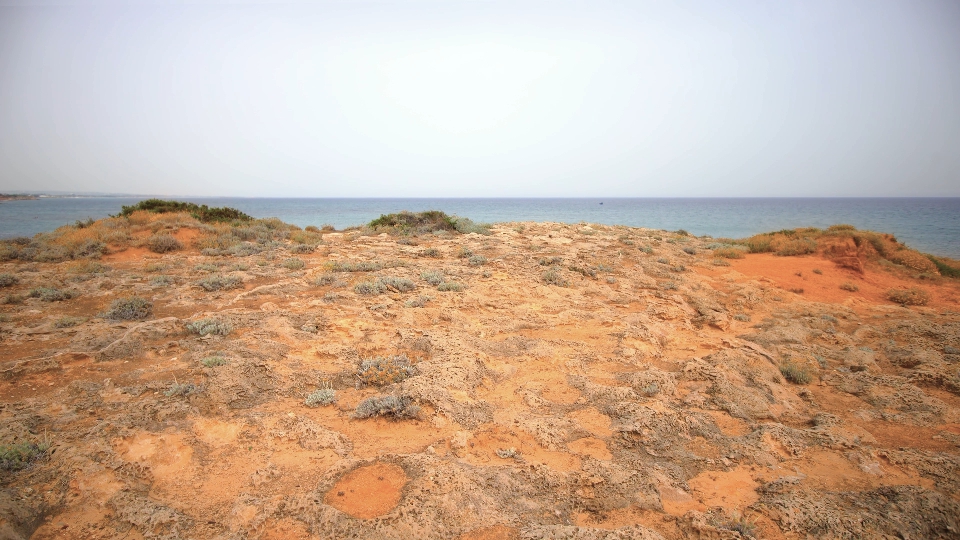 Seashore covered by the fossilized coral reef