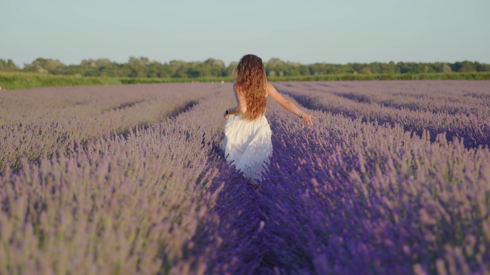 Donna corre tra le file di lavanda sul campo