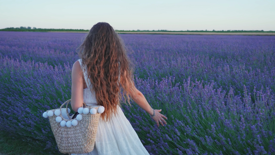 Woman touches her hand with lavender in the field