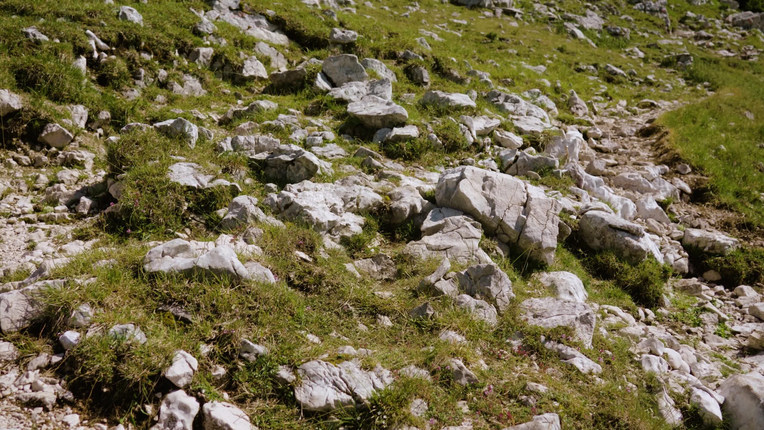 Sassi grandi sulle colline verdi