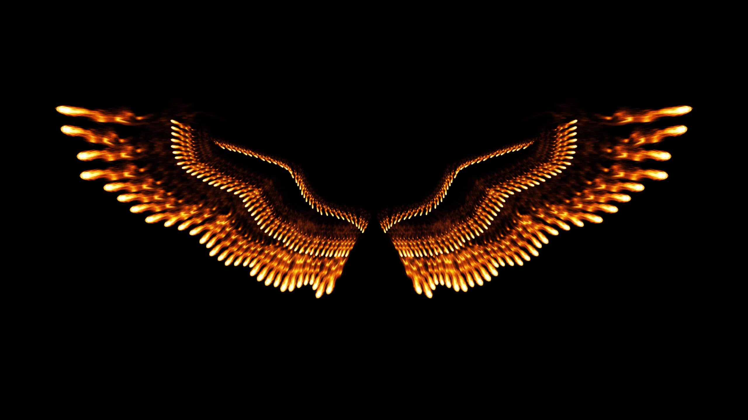 Wings burn on a black background