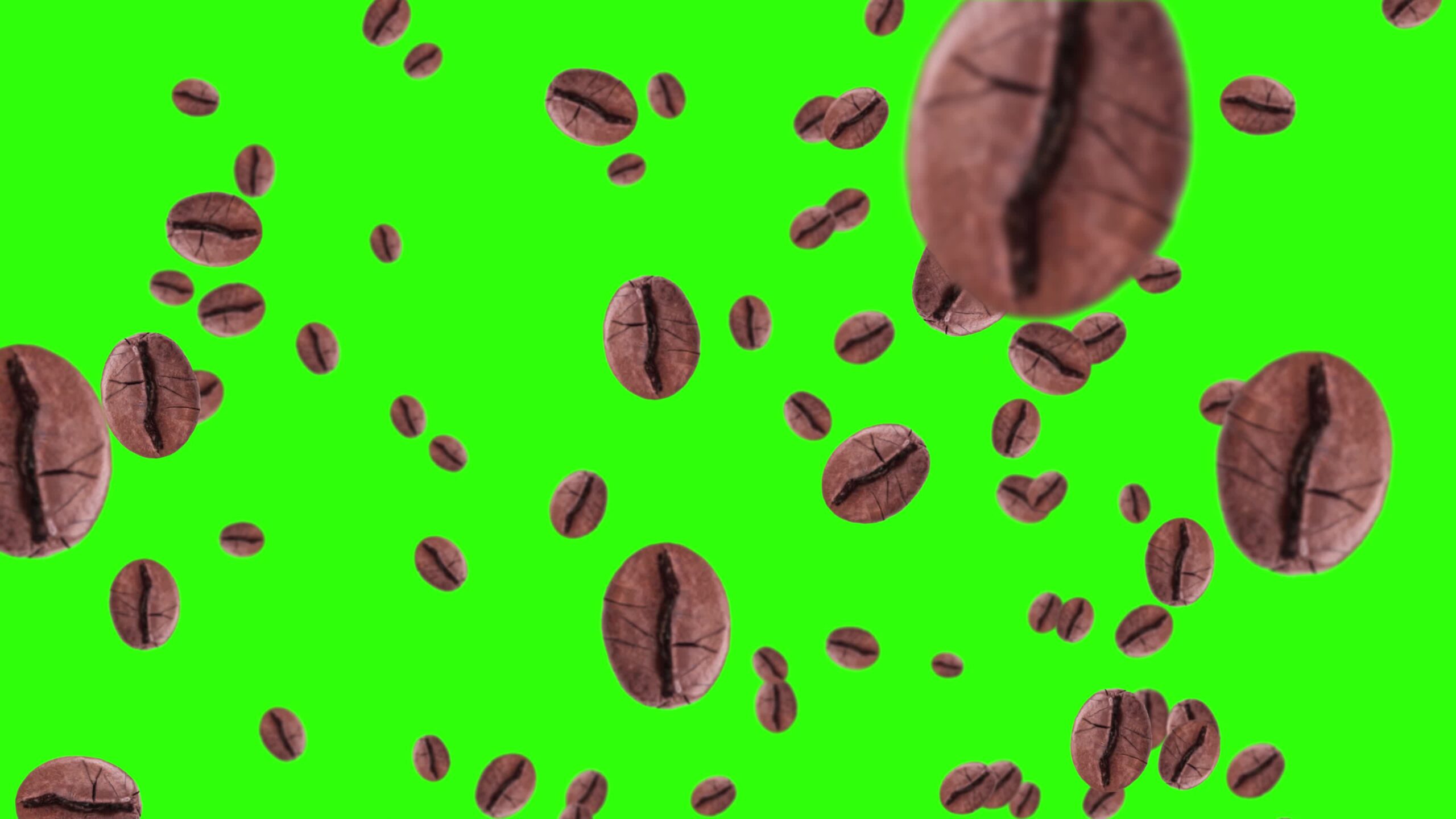 Coffee beans on chroma key