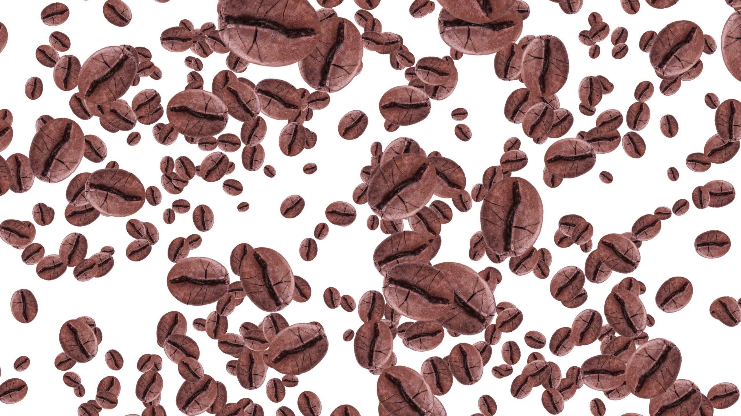 Roasted coffee beans on a white background